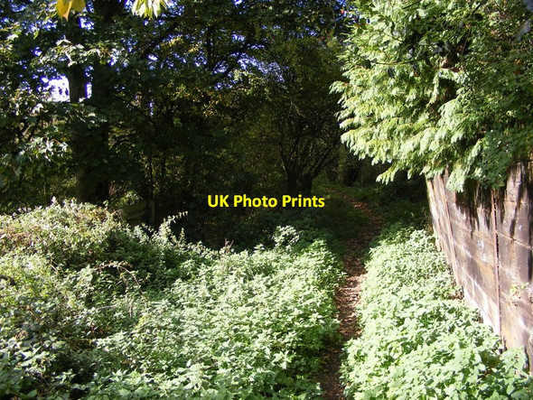 Photo 6"x4" Bourne Street Path Coseley c2017