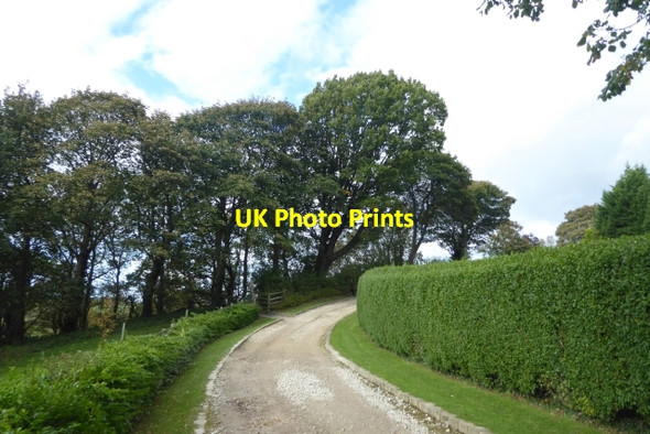 Photo 6"x4" Bend on Crag Lane Harlow Carr c2017