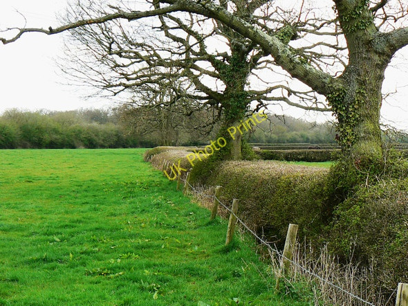 Photo 6"x4" Bridleway near Coxhill Farm Purton Common c2009