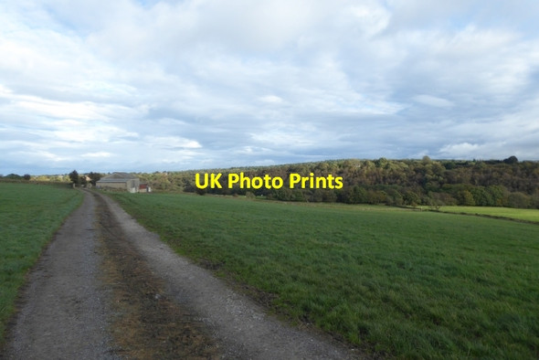 Photo 6"x4" Path to Long Crag Harlow Carr c2017