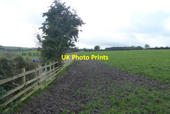 Photo 6"x4" Muddy path Harlow Carr c2017