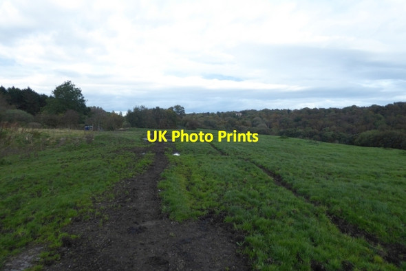 Photo 6"x4" Bridleway to Oakdale Oakdale\/SE2855 c2017