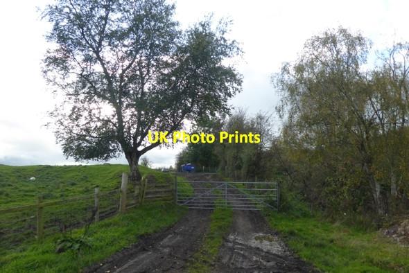 Photo 6"x4" Gate on the path Oakdale\/SE2855 c2017