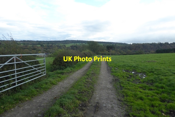 Photo 6"x4" Track off Penny Pot Lane Oakdale\/SE2855 c2017