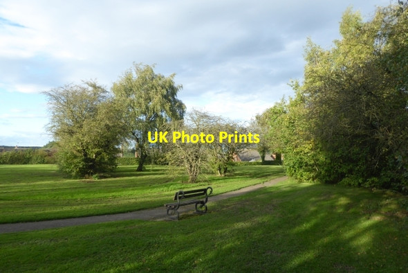 Photo 6"x4" Bench near Killinghall Moor Harrogate c2017
