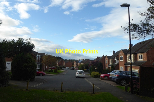 Photo 6"x4" Sweet Briar Harrogate c2017