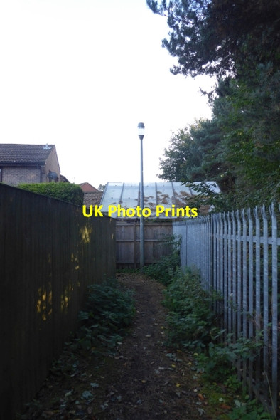 Photo 6"x4" Path to Norwood Grove Harrogate c2017