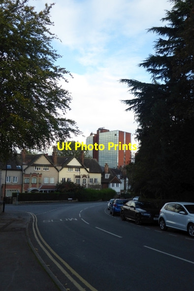 Photo 6"x4" Springfield Avenue Harrogate c2017