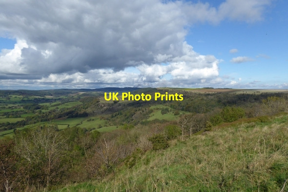 Photo 6"x4" Over South Woods Sutton-under-Whitestonecliffe c2017