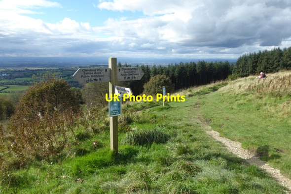 Photo 6"x4" Junction of paths Boltby c2017