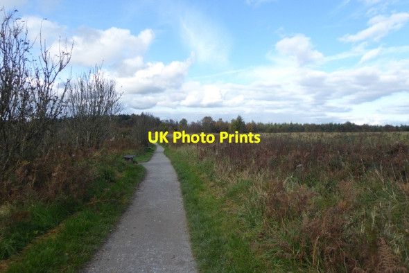 Photo 6"x4" Path beside the airfield Cold Kirby c2017