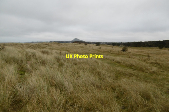 Photo 6"x4" Dunes, Yellow Craig Dirleton\/NT5183 c2017