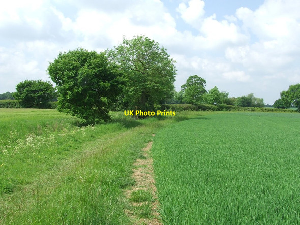 Photo 6"x4" Footpath And Field Boundary Almshouse Green\/TL7533 c2017