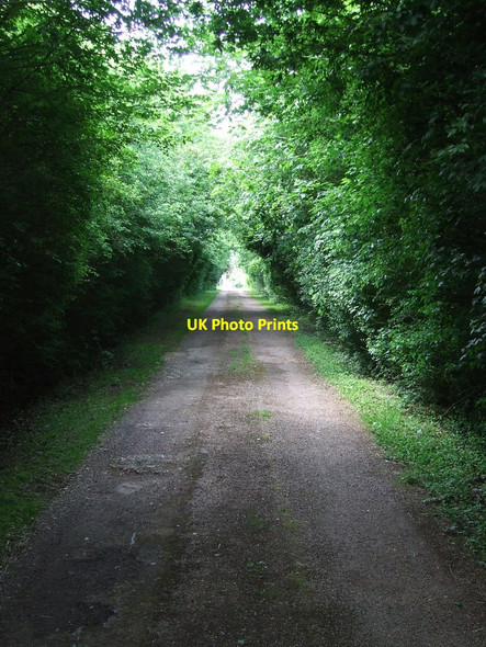 Photo 6"x4" Driveway To Flower's Hall Gainsford End c2017