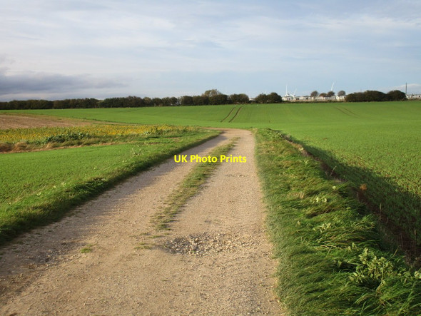 Photo 6"x4" Southfield Lane Barmston\/TA1659 c2017