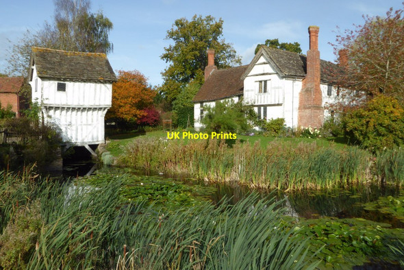 Photo 6"x4" Lower Brockhampton Bringsty Common c2017