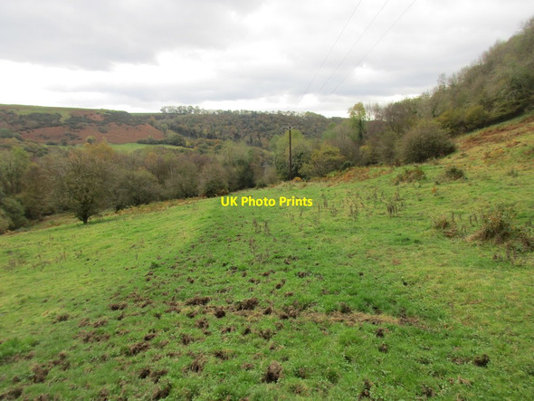 Photo 6"x4" Footpath across Newton Bank Newton-on-Rawcliffe c2017