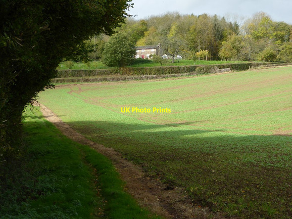Photo 6"x4" Cottage on the Bromyard Downs Bromyard Downs c2017