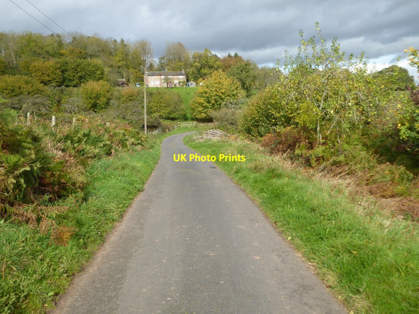Photo 6"x4" Road to Hill House Farm Bromyard Downs c2017