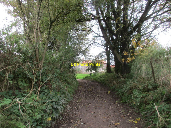 Photo 6"x4" East Brow Lane entering Newton on Rawcliffe Newton-on-Rawcliffe c2017
