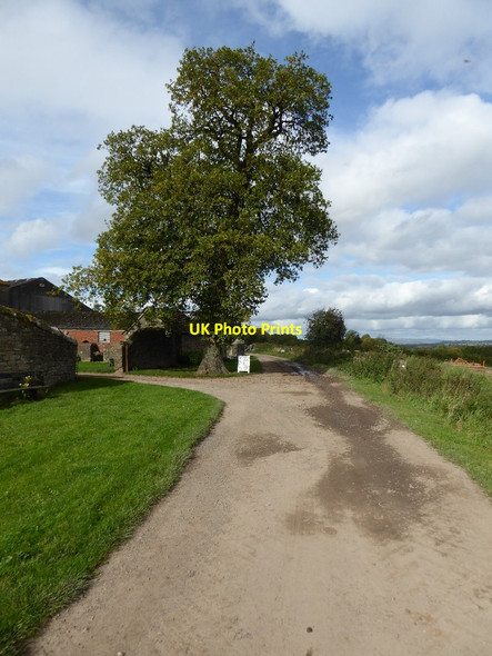 Photo 6"x4" Road passing Warren Farm Bromyard Downs c2017