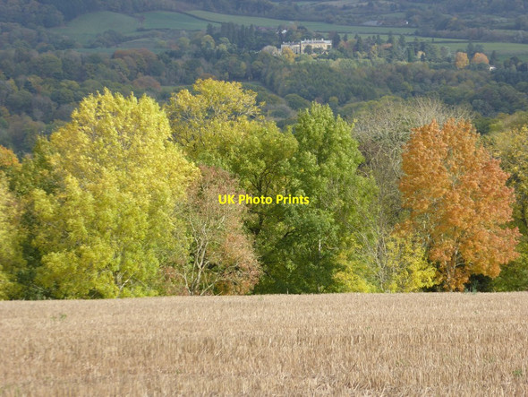Photo 6"x4" Autumn colours Linley Green c2017