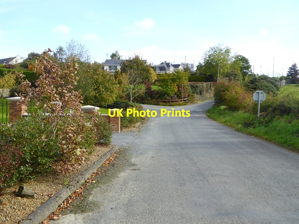 Photo 6"x4" Ardan na Curkish Bailieborough c2017
