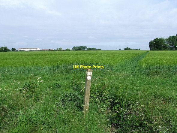 Photo 6"x4" Footpath Leading To RAF Wethersfield Brickkiln Green c2017