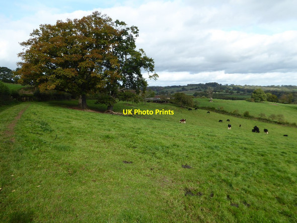 Photo 6"x4" Farmland near Hill House Farm Bromyard Downs c2017