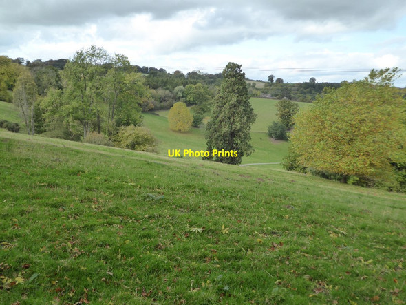 Photo 6"x4" Brockhampton Park Bringsty Common c2017