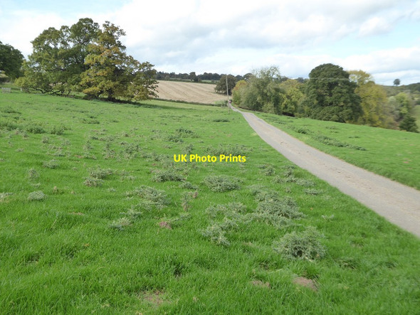 Photo 6"x4" Road to Greenfield Linley Green c2017