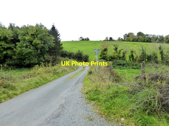 Photo 6"x4" Country lane at Drumlem Shercock c2017