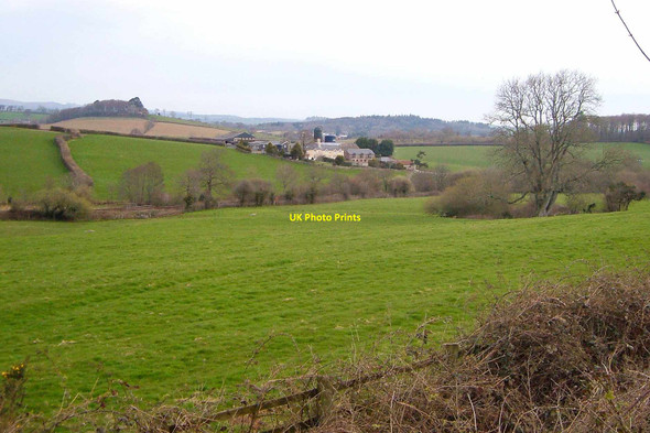Photo 6"x4" Whiteley Farm Belsford c2006