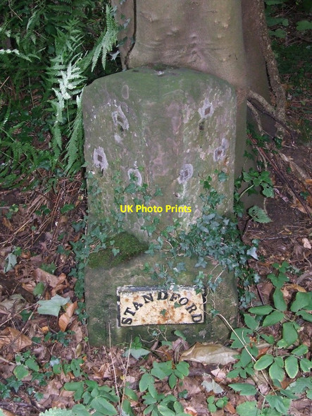 Photo 6"x4" Old Milestone Pickstock c2017