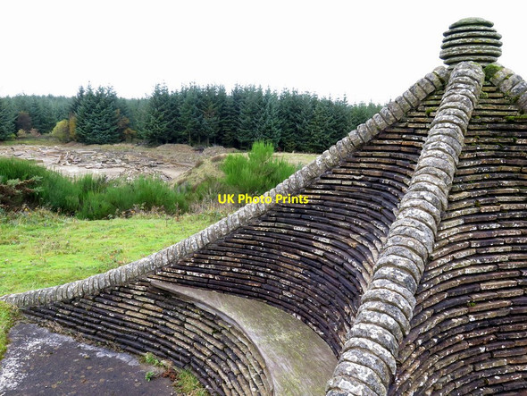 Photo 6"x4" Raptor viewpoint, Ladycross Bank Quarry Dukesfield\/NY9457 c2017