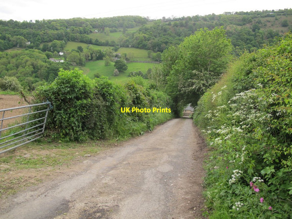Photo 6"x4" Country lane in the Vale of Llangollen Cefn-bychan\/SJ2741 c2017