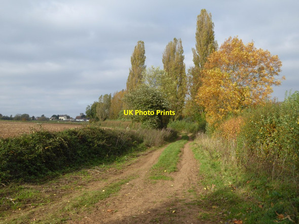 Photo 6"x4" Track to Church End Church End\/SO8936 c2017