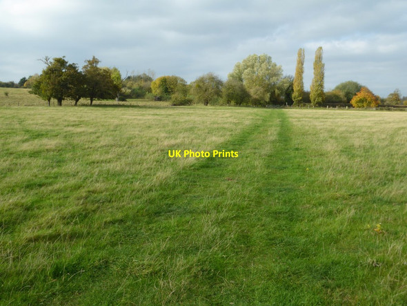 Photo 6"x4" Footpath crossing a field Tewkesbury c2017