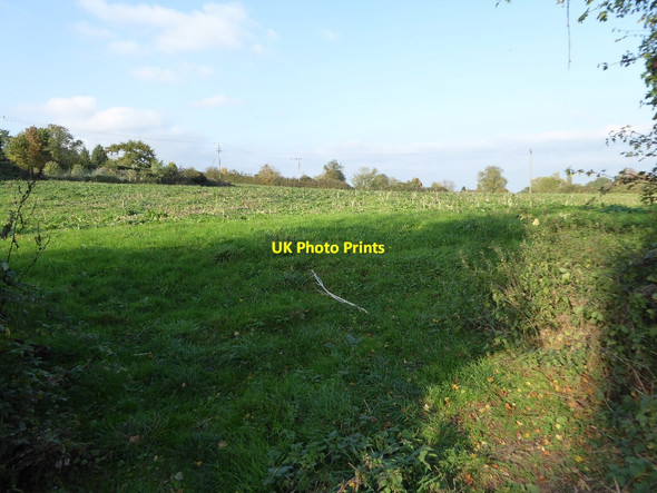 Photo 6"x4" Field beside Linekill Corner in Twyning Twyning Green c2017