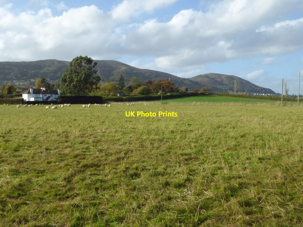 Photo 6"x4" The Malvern Hills Malvern Common c2017