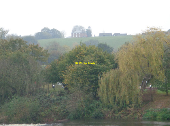 Photo 6"x4" Trees on small island at Bevere Lock Bevere c2017