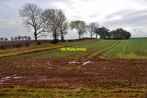 Photo 6"x4" Arable land near Madderty St David's c2017