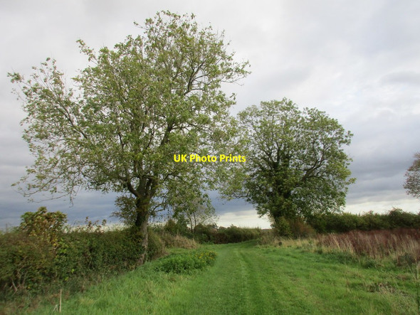 Photo 6"x4" Bridleway (Old Lane) to the A169 Ryton\/SE7975 c2017
