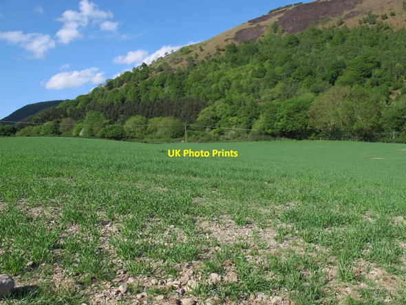 Photo 6"x4" Dry farmland in Eglwyseg Valley Llandynan c2017