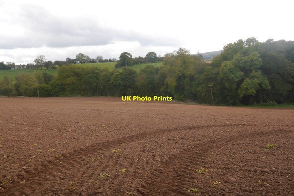 Photo 6"x4" Cultivated ground, Ditton Priors Middleton Baggot c2017