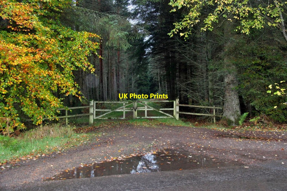 Photo 6"x4" Entry to a ride in Charlesfield Wood Findo Gask c2017