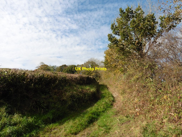 Photo 6"x4" Track to Druidshayne Bampton\/SS9522 c2017