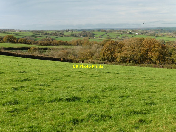 Photo 6"x4" Pasture above 'Down' Oakfordbridge c2017