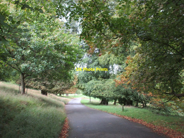 Photo 6"x4" Passing through Melbury Park Evershot c2017