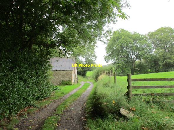 Photo 6"x4" Track and barn in Melbury Park Melbury Sampford c2017